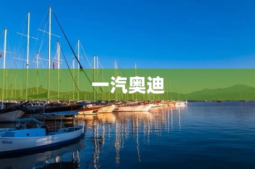 一汽奥迪：绿色出行引领未来