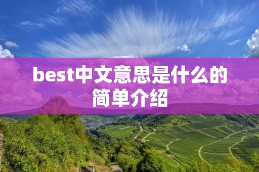 best中文意思是什么的简单介绍 best中文意思是什么的简单介绍