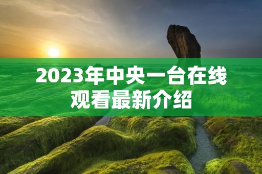 2023年中央一台在线观看最新介绍