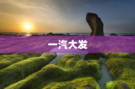 一汽大发：打造中国自主品牌的领军企业