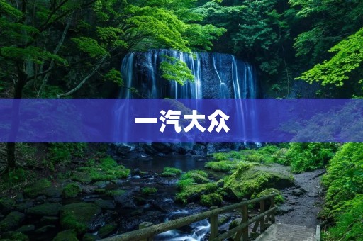 一汽大众:中国汽车行业的佼佼者 一汽大众:中国汽车行业的佼佼者