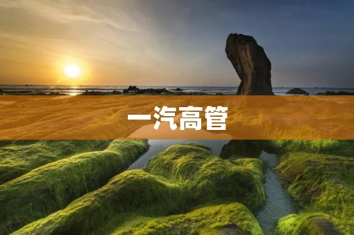 一汽高管:引领中国汽车行业发展的中坚力量