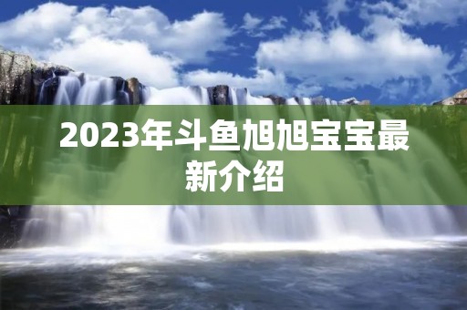 2023年斗鱼旭旭宝宝最新介绍 2023年斗鱼旭旭宝宝最新介绍
