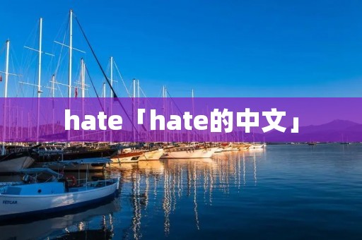 hate「hate的中文」