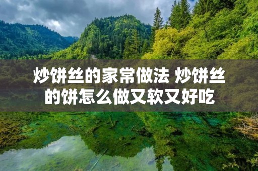 炒饼丝的家常做法 炒饼丝的饼怎么做又软又好吃