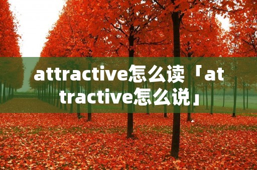 attractive怎么读「attractive怎么说」