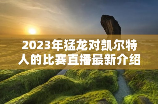 2023年猛龙对凯尔特人的比赛直播最新介绍