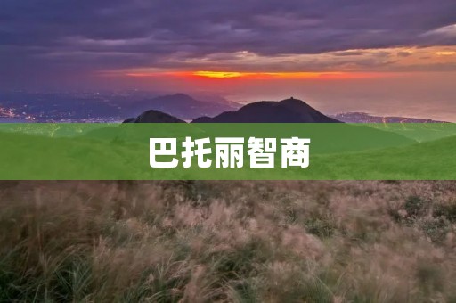 巴托丽智商:探秘人类智商的神秘密码 巴托丽智商:探秘人类智商的神秘密码
