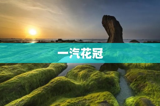 一汽花冠:值得信赖的经典家轿 一汽花冠:值得信赖的经典家轿