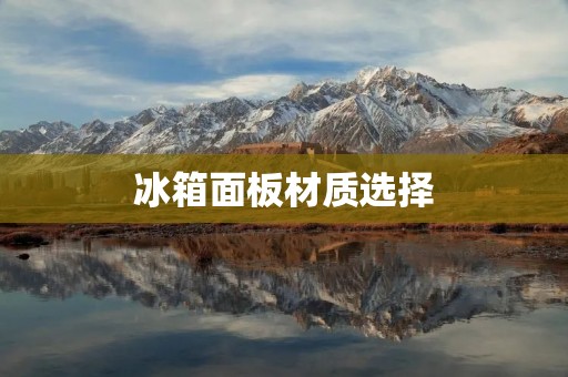 冰箱面板材质选择：如何选择最好的？
