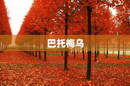 巴托梅乌：一位领导者的成长历程