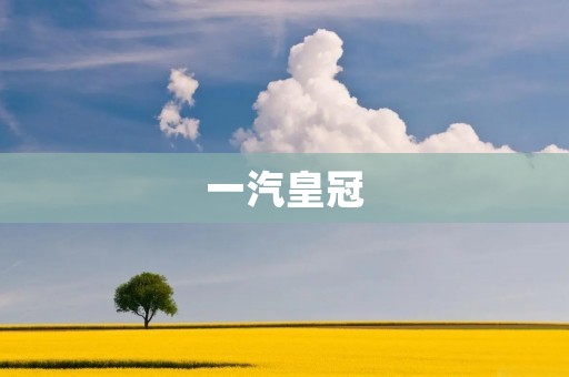 一汽皇冠：史上最经典的国产豪华轿车