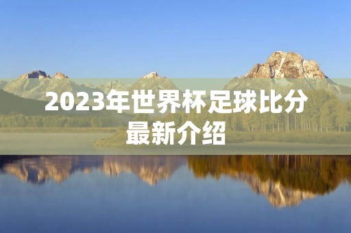 2023年世界杯足球比分最新介绍