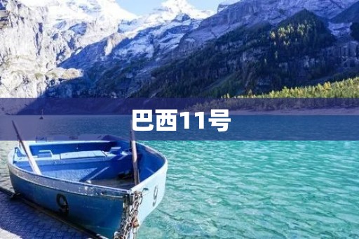 巴西11号：科技与环境的交汇点