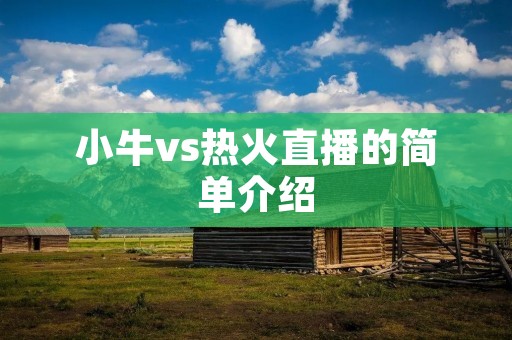 小牛vs热火直播的简单介绍