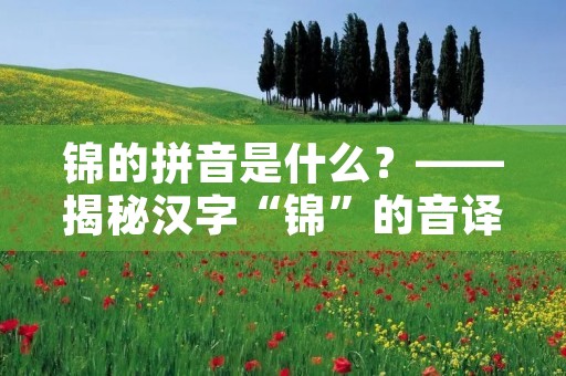 锦的拼音是什么？——揭秘汉字“锦”的音译