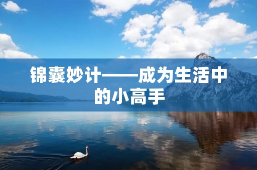 锦囊妙计——成为生活中的小高手 锦囊妙计——成为生活中的小高手