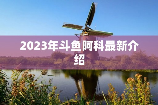2023年斗鱼阿科最新介绍