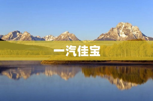 一汽佳宝:打造中国汽车品牌的坚实步伐 一汽佳宝:打造中国汽车品牌的坚实步伐