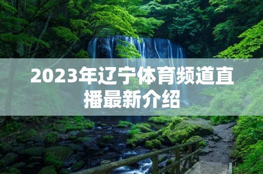 2023年辽宁体育频道直播最新介绍