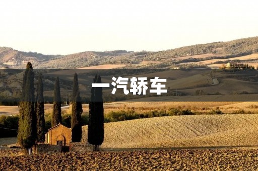 一汽轿车:中国汽车行业的领军企业 一汽轿车:中国汽车行业的领军企业