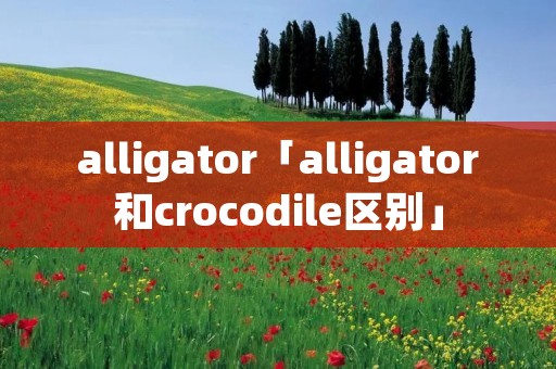 alligator「alligator和crocodile区别」 alligator「alligator和crocodile区别」