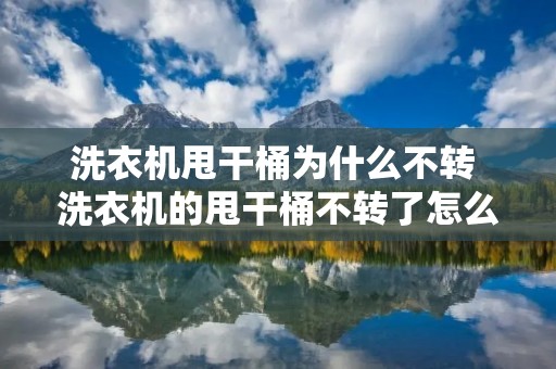 洗衣机甩干桶为什么不转 洗衣机的甩干桶不转了怎么办