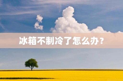 冰箱不制冷了怎么办？