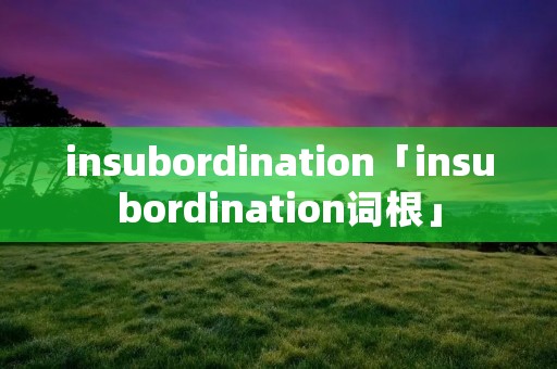 insubordination「insubordination词根」