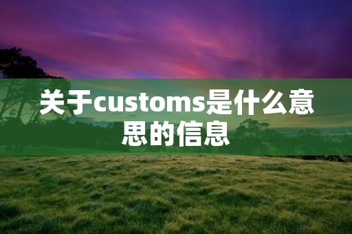 关于customs是什么意思的信息
