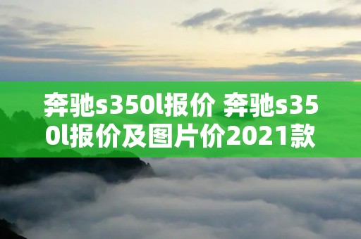 奔驰s350l报价 奔驰s350l报价及图片价2021款