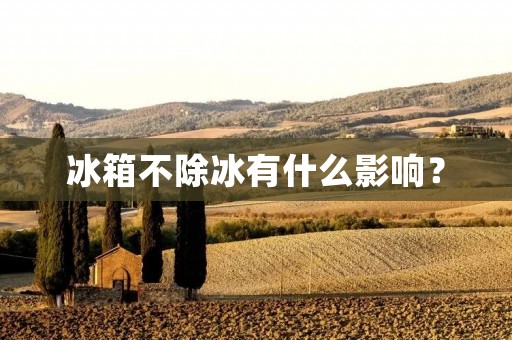 冰箱不除冰有什么影响? 冰箱不除冰有什么影响?