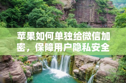 苹果如何单独给微信加密,保障用户隐私安全