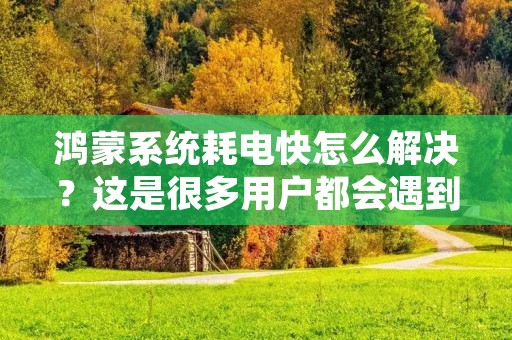 鸿蒙系统耗电快怎么解决?这是很多用户都会遇到的问题。随着智能手机的普及,电池续航成为了用户最为关注的问题之一。而鸿蒙系统的出现无疑是给用户带来了更加流畅的使用体验,但是也带来了更大的电池消耗。那么,我们该如何解决鸿蒙系统耗电快的问题呢?