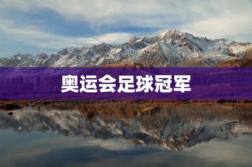奥运会足球冠军：历届夺冠球队及其背后的故事