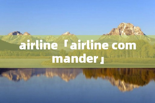 airline「airline commander」