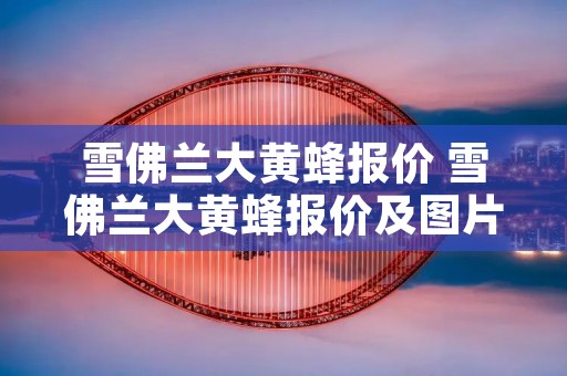 雪佛兰大黄蜂报价 雪佛兰大黄蜂报价及图片