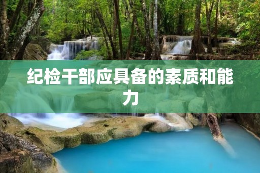纪检干部应具备的素质和能力