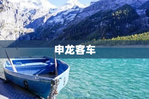 申龙客车:中国客车行业的领军品牌 申龙客车:中国客车行业的领军品牌