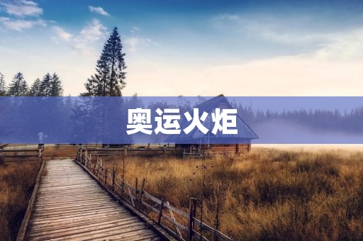 奥运火炬：传递**与力量