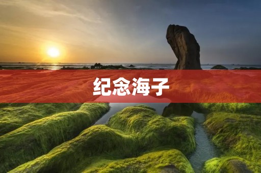 纪念海子:一位永不褪色的诗人 纪念海子:一位永不褪色的诗人