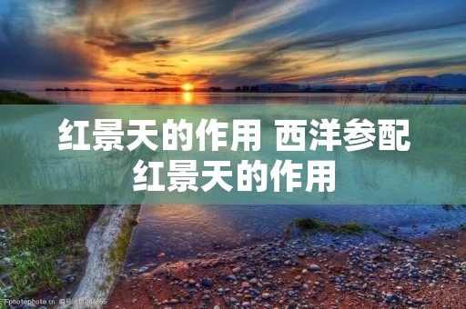 红景天的作用 西洋参配红景天的作用