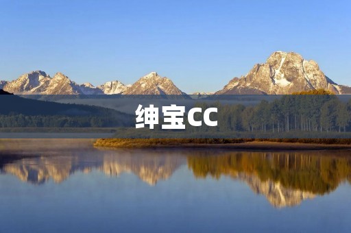 绅宝CC：一款时尚动感的豪华轿车