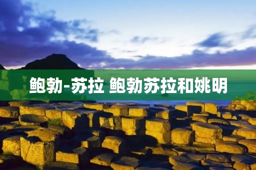 鲍勃-苏拉 鲍勃苏拉和姚明