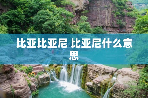 比亚比亚尼 比亚尼什么意思 比亚比亚尼 比亚尼什么意思