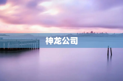 神龙公司：中国汽车行业的领跑者