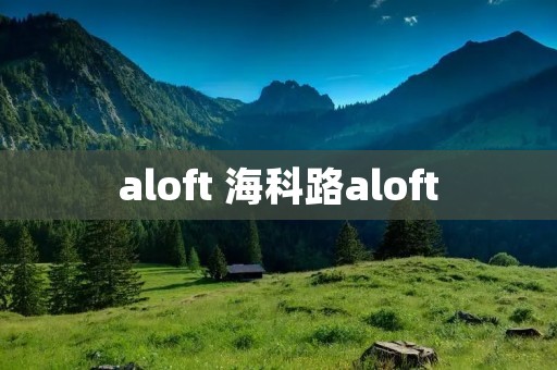 aloft 海科路aloft
