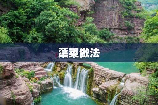 蕖菜做法：清爽爽口感，健康美味的佳肴