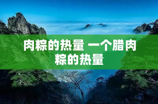 肉粽的热量 一个腊肉粽的热量 肉粽的热量 一个腊肉粽的热量