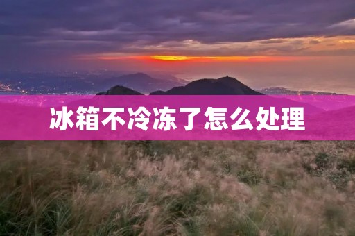 冰箱不冷冻了怎么处理 冰箱不冷冻了怎么处理